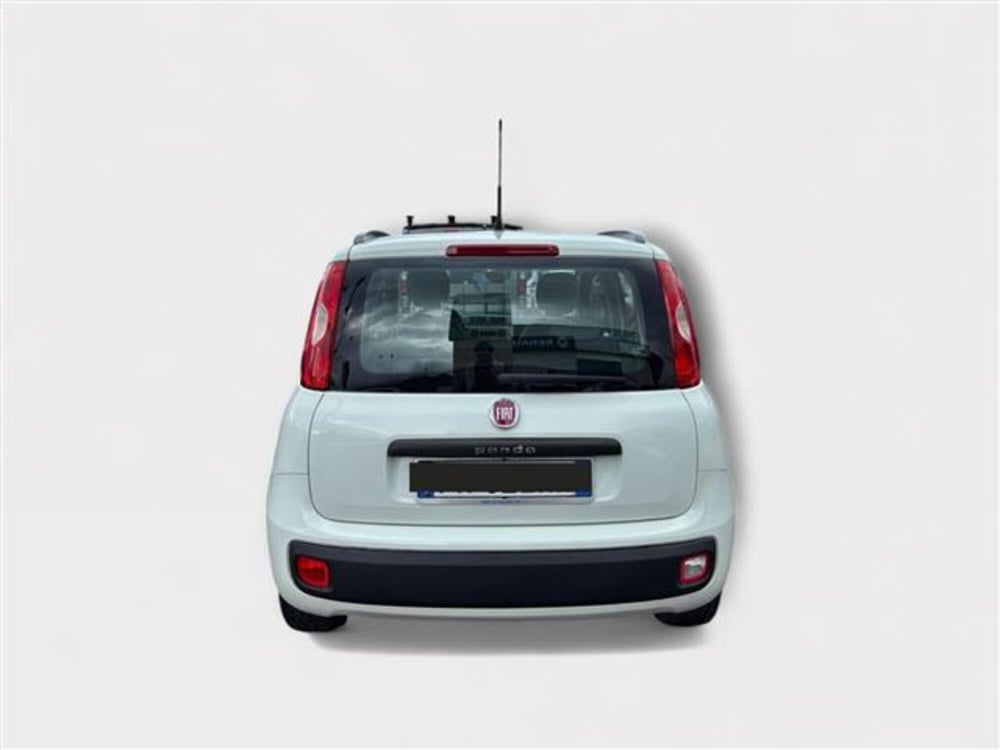 Fiat Panda usata a Livorno (4)
