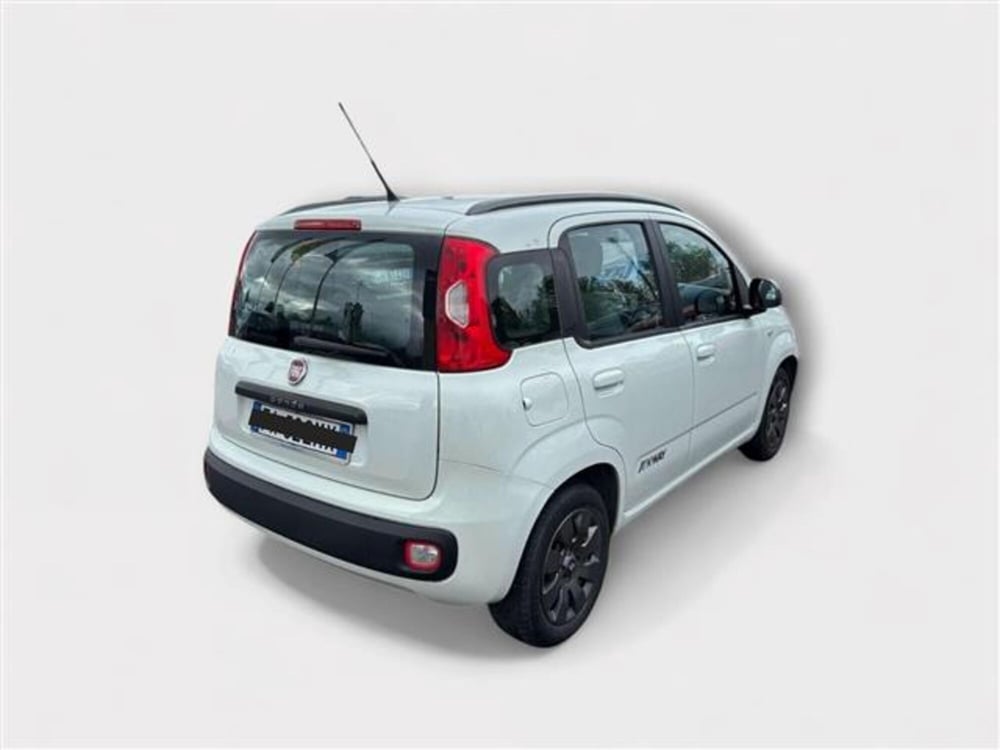 Fiat Panda usata a Livorno (5)