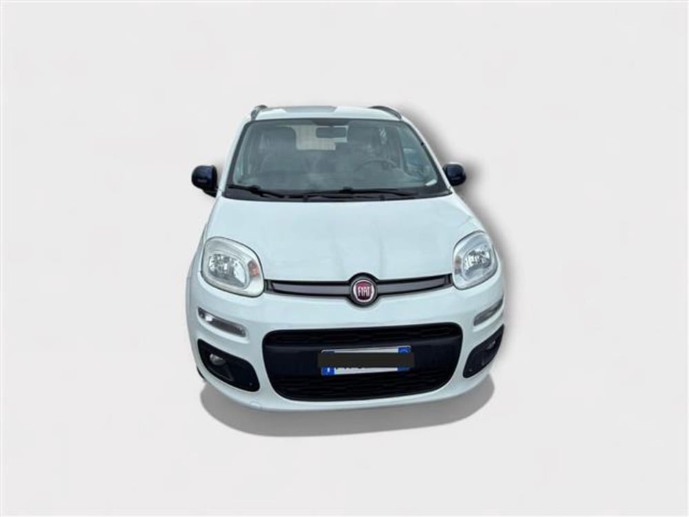Fiat Panda usata a Livorno (8)