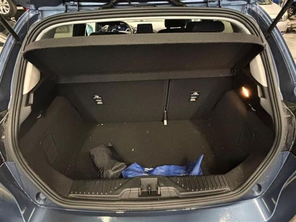 Ford Fiesta usata a Livorno (15)