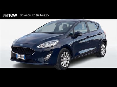 Ford Fiesta 1.1 75 CV GPL 5 porte Business del 2019 usata a Lecce