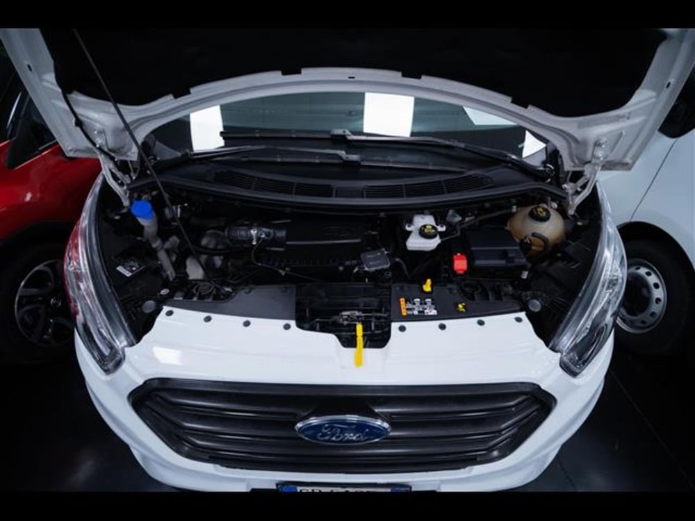 Ford Transit Custom Furgone usata a Torino (10)