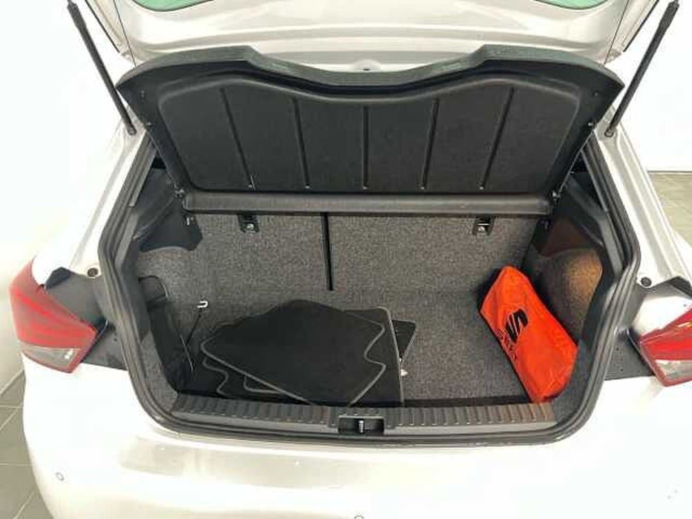 SEAT Ibiza usata a Catanzaro (10)