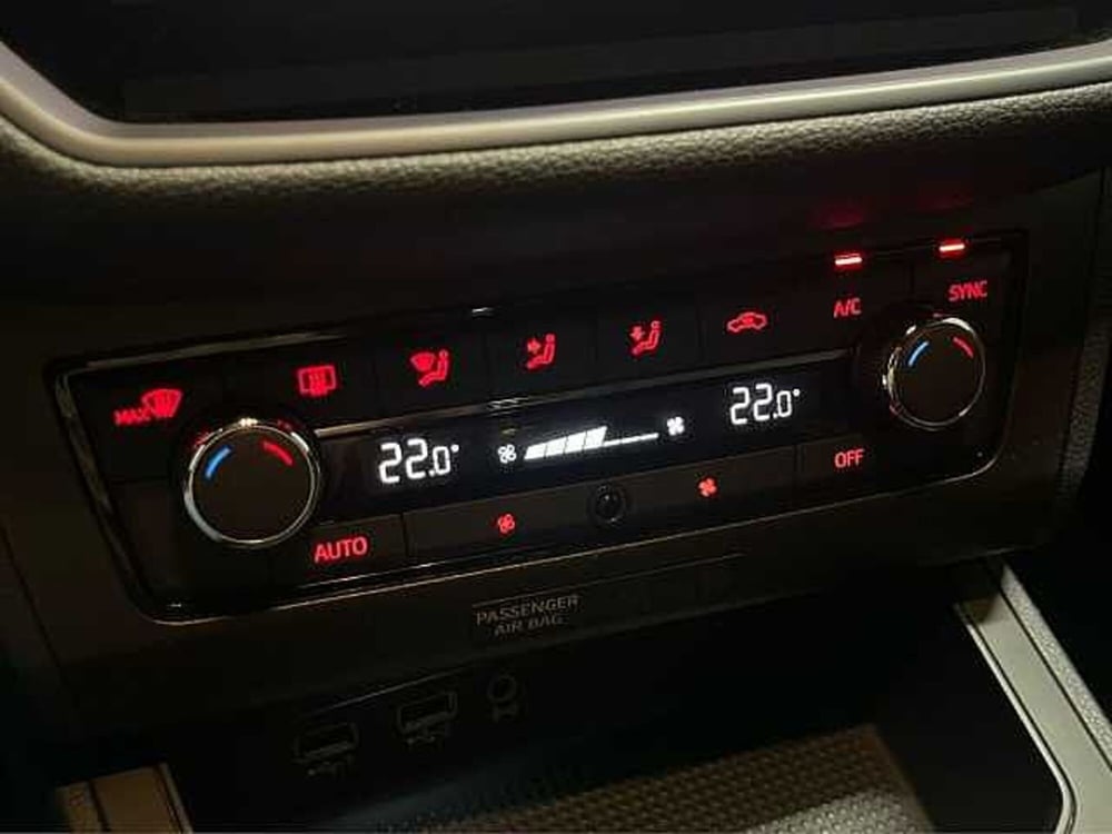 SEAT Ibiza usata a Catanzaro (16)