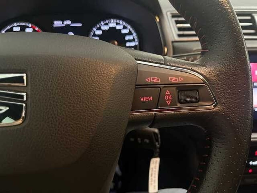 SEAT Ibiza usata a Catanzaro (18)