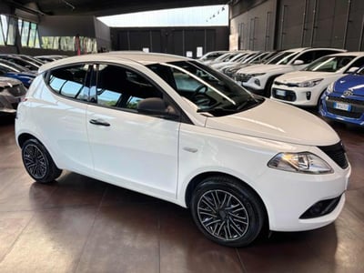 Lancia Ypsilon 1.2 69 CV 5 porte Elefantino Blu del 2020 usata a Pesaro
