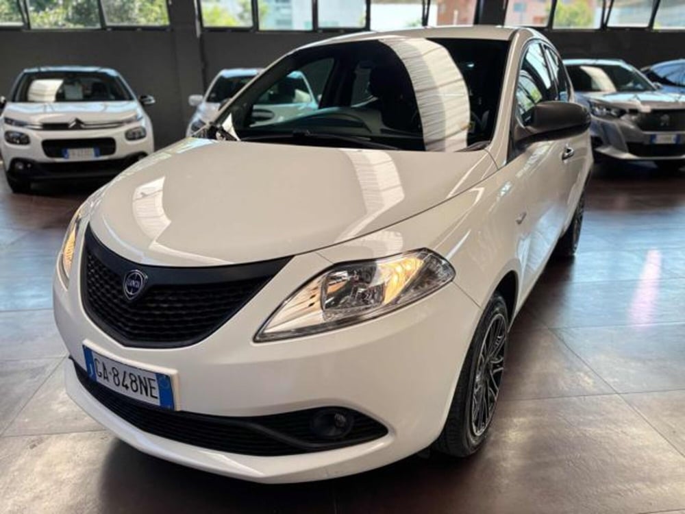 Lancia Ypsilon usata a Pesaro-Urbino (3)