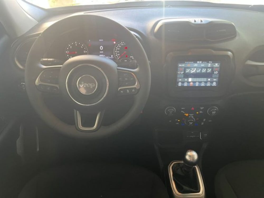 Jeep Renegade usata a Trapani (18)