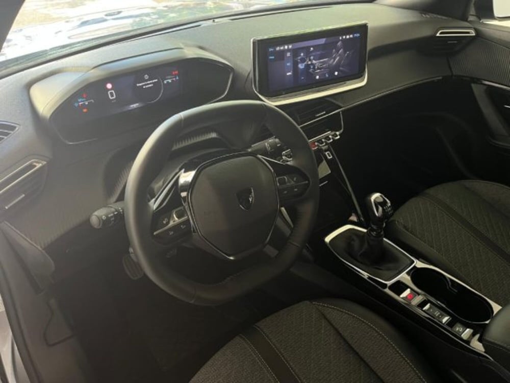 Peugeot 2008 usata a Trapani (10)