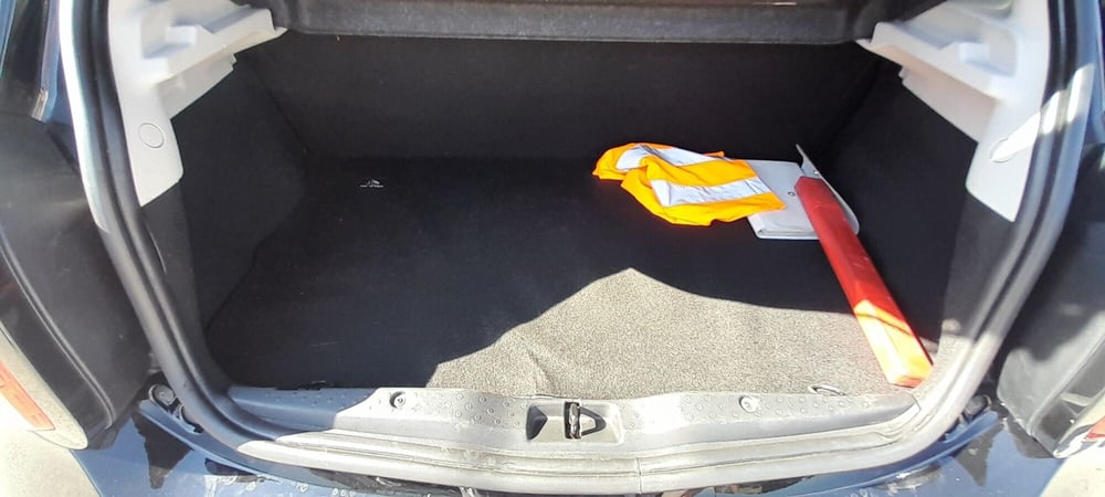 smart forfour usata a Cosenza (15)