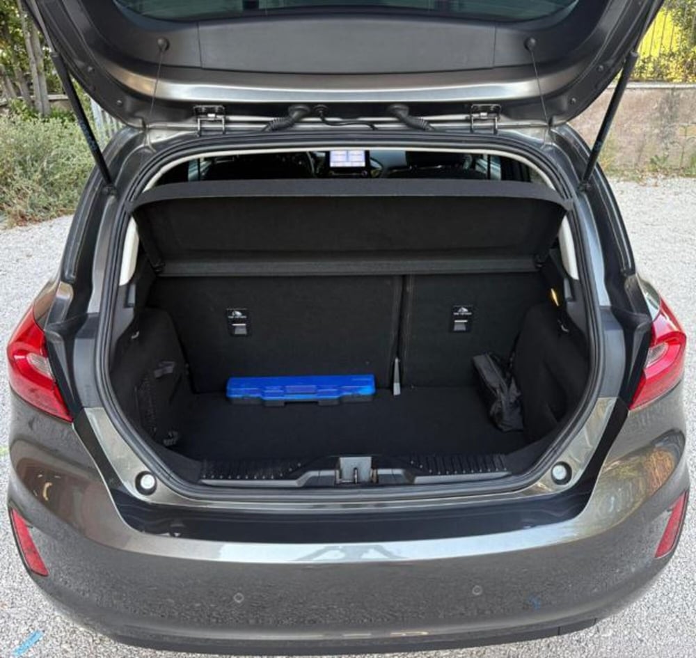 Ford Fiesta usata a Roma (5)