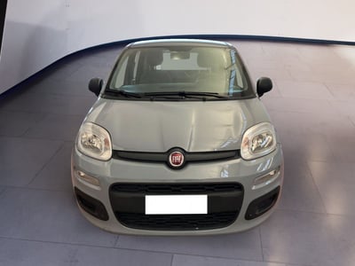 Fiat Panda 1.0 firefly hybrid s&amp;s 70cv 5p.ti del 2022 usata a Torino