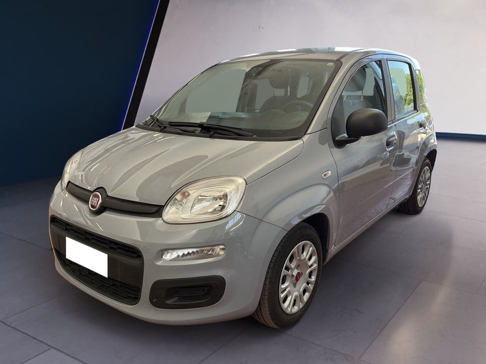 Fiat Panda usata a Torino (2)