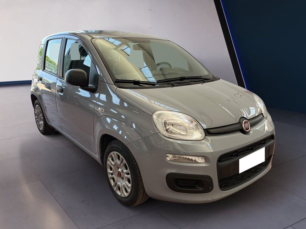 Fiat Panda usata a Torino (3)
