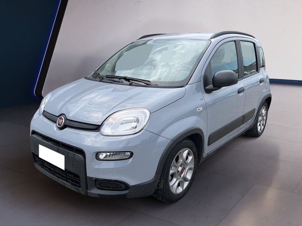 Fiat Panda usata a Torino (2)