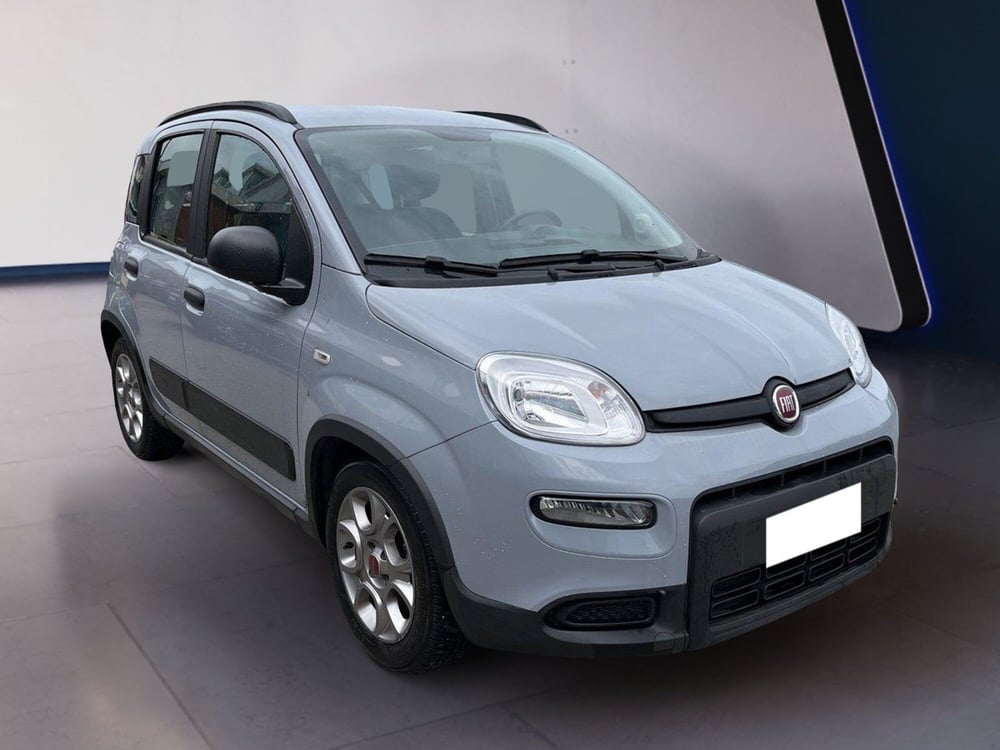 Fiat Panda usata a Torino (3)