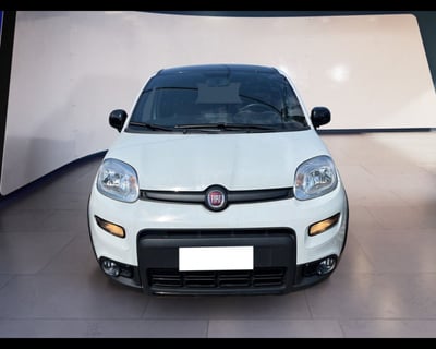 Fiat Panda 1.0 firefly hybrid s&amp;s 70cv 5p.ti del 2021 usata a Torino