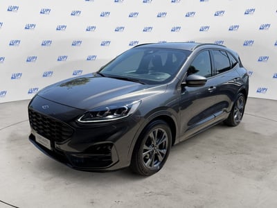 Ford Kuga 2.0 EcoBlue 120 CV aut. 2WD ST-Line X del 2023 usata a Serravalle Pistoiese