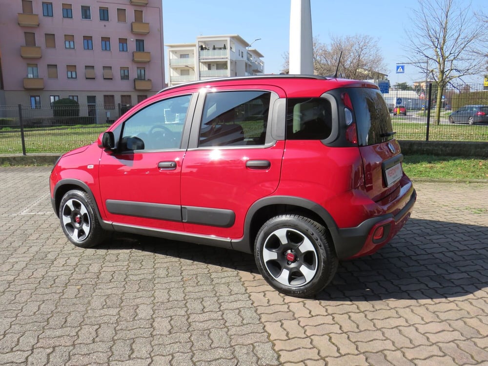 Fiat Panda Cross usata a Monza e Brianza (5)