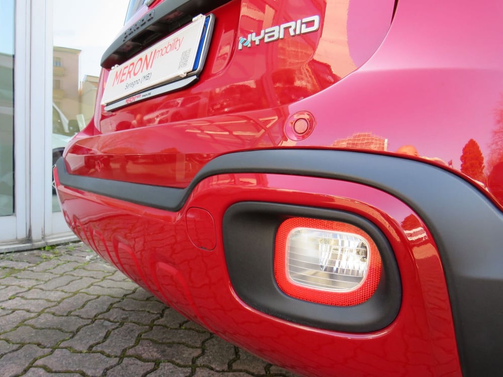 Fiat Panda Cross usata a Monza e Brianza (6)