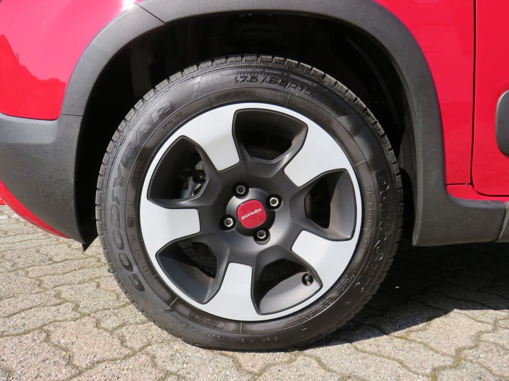 Fiat Panda Cross usata a Monza e Brianza (7)