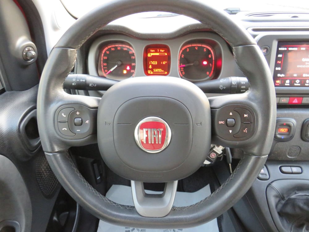 Fiat Panda Cross usata a Monza e Brianza (11)