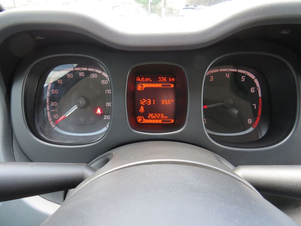Fiat Panda Cross usata a Monza e Brianza (11)