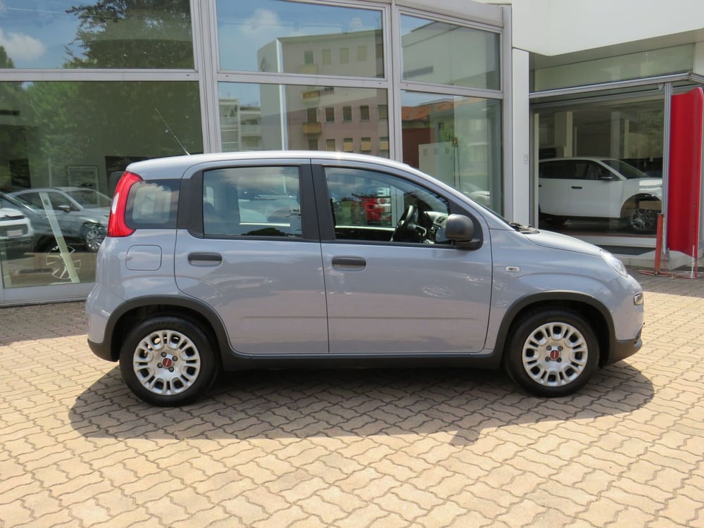 Fiat Panda Cross usata a Monza e Brianza (2)