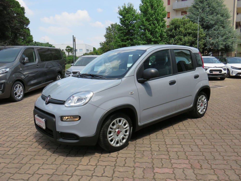 Fiat Panda Cross usata a Monza e Brianza (3)