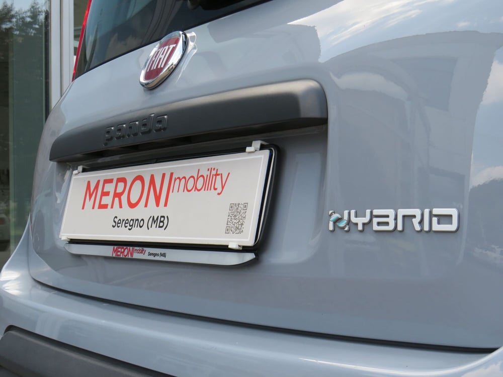 Fiat Panda Cross usata a Monza e Brianza (6)