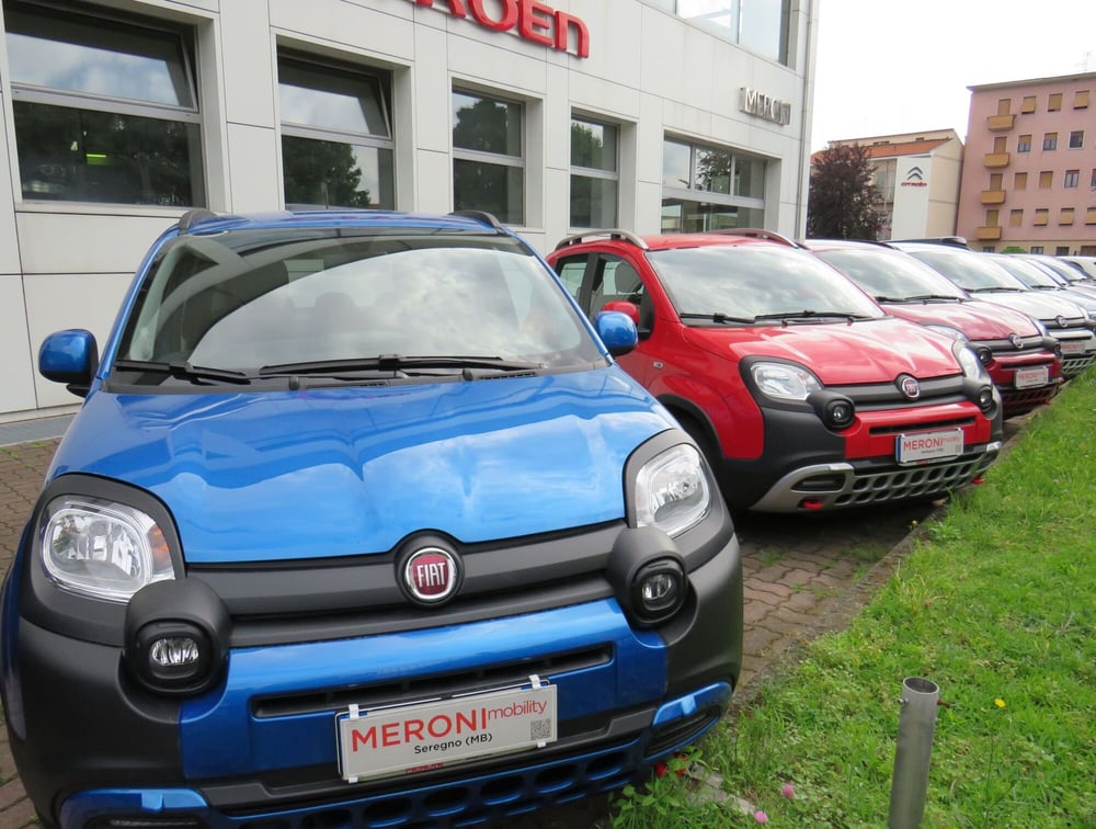 Fiat Panda Cross usata a Monza e Brianza (2)