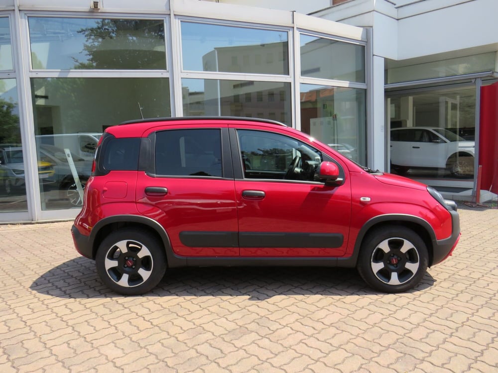 Fiat Panda Cross usata a Monza e Brianza (3)