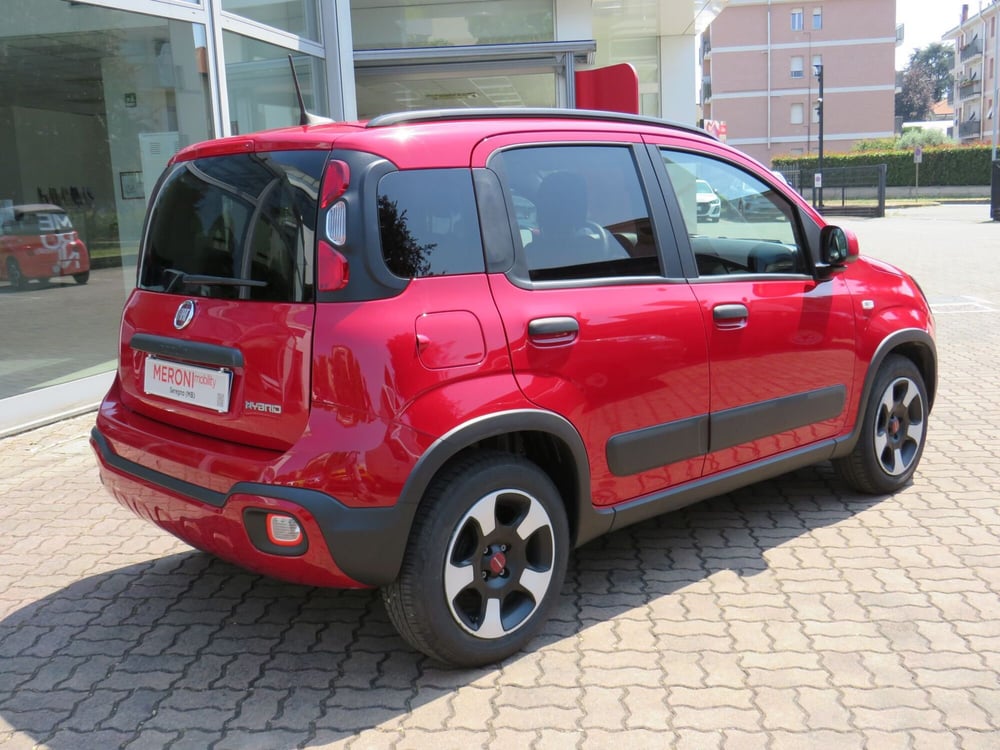 Fiat Panda Cross usata a Monza e Brianza (5)