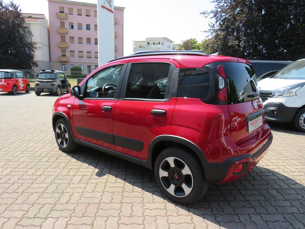 Fiat Panda Cross usata a Monza e Brianza (6)