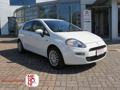 Fiat Punto 1.2 8V 5 porte Street del 2014 usata a Seregno
