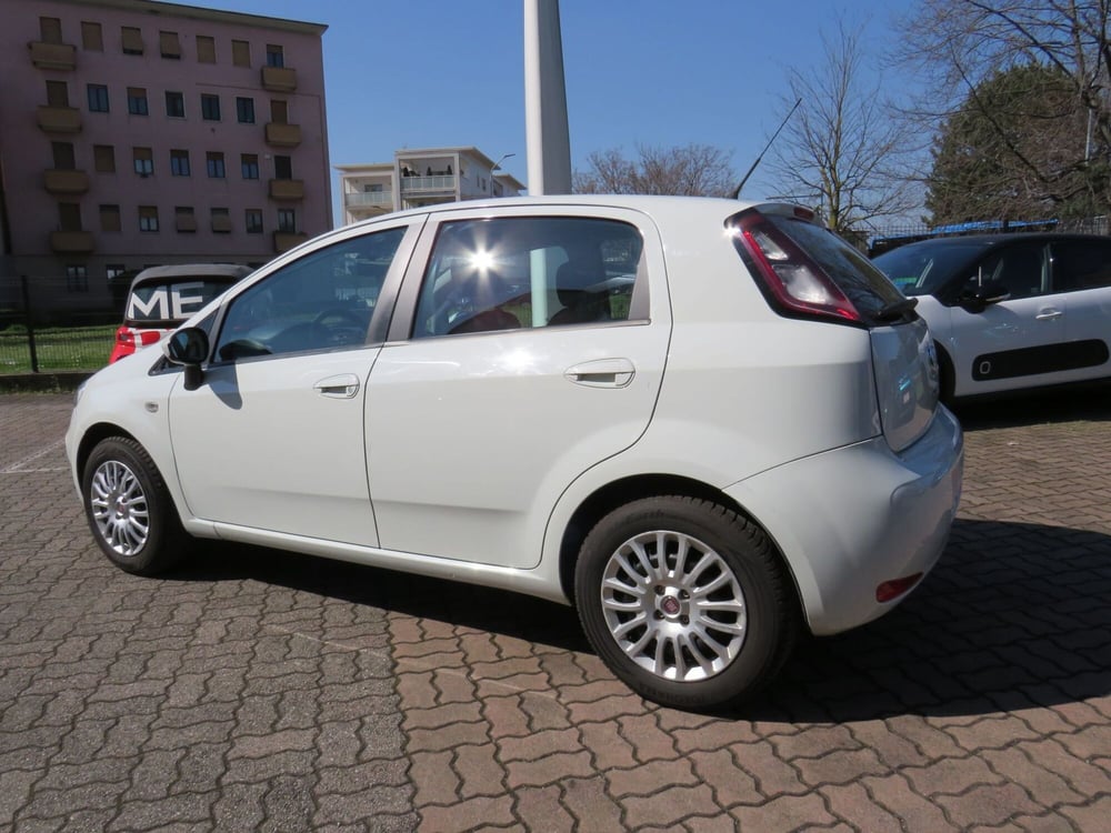 Fiat Punto usata a Monza e Brianza (4)