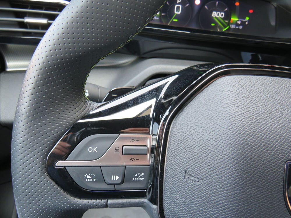 Peugeot 308 SW usata a Monza e Brianza (20)