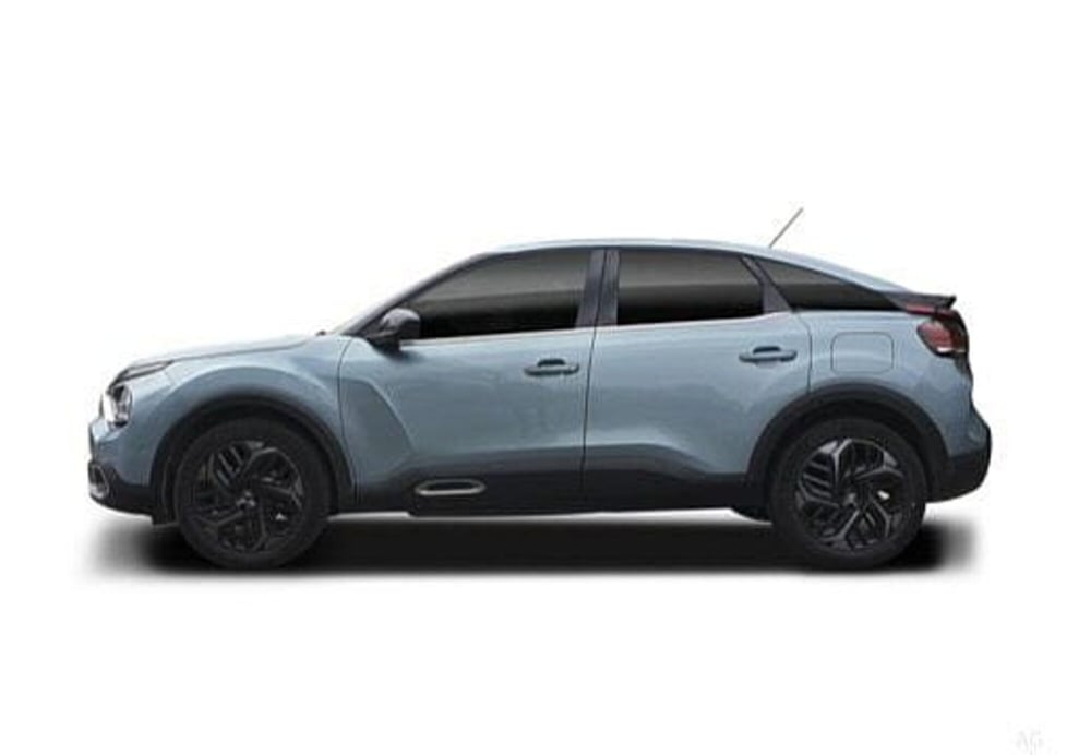 Citroen C4 usata a Potenza (8)