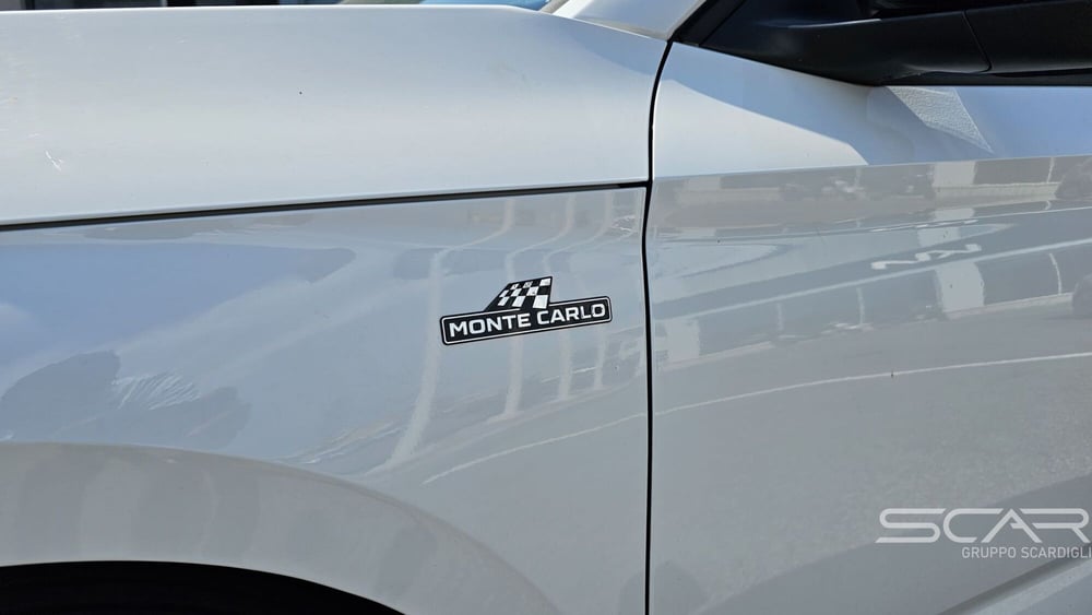 Skoda Kamiq usata a Livorno (10)