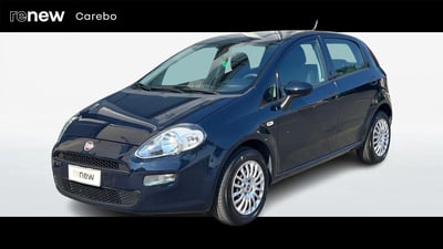 Fiat Punto 1.4 8V 5 porte Easypower Street del 2017 usata a Parma
