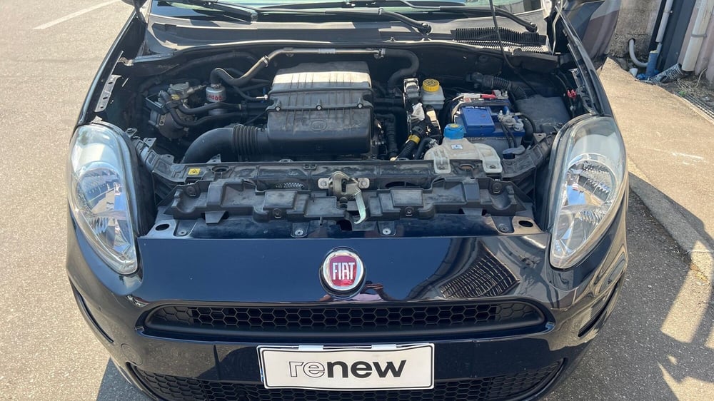 Fiat Punto usata a Parma (19)