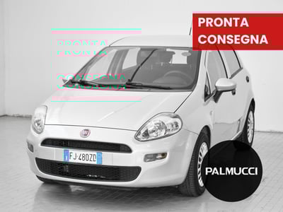 Fiat Punto 1.2 8V 5 porte Street del 2017 usata a Prato