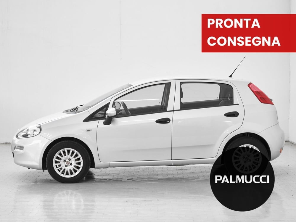 Fiat Punto usata a Prato (2)