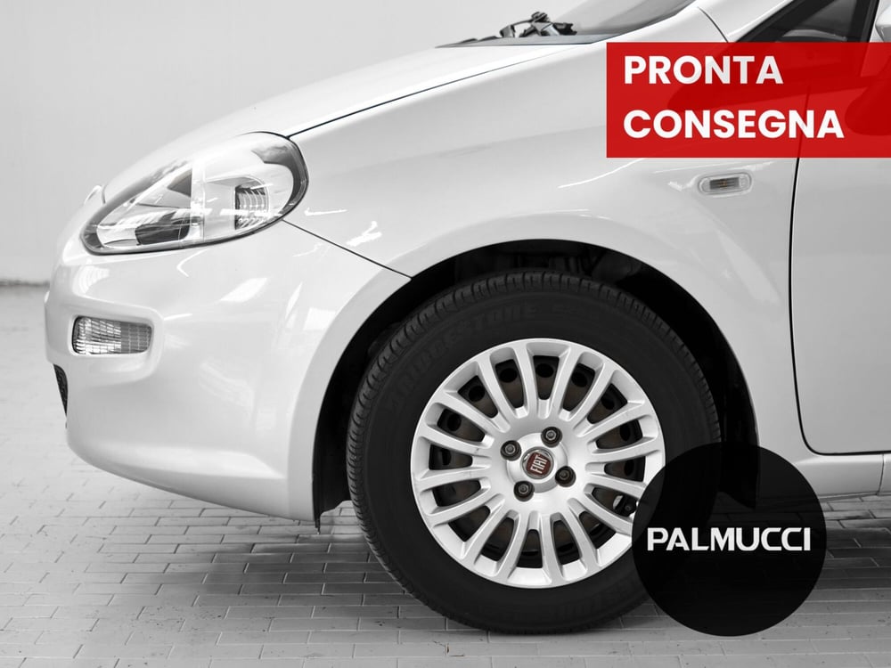 Fiat Punto usata a Prato (4)