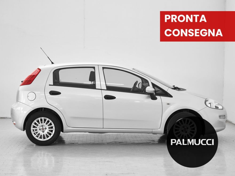 Fiat Punto usata a Prato (5)
