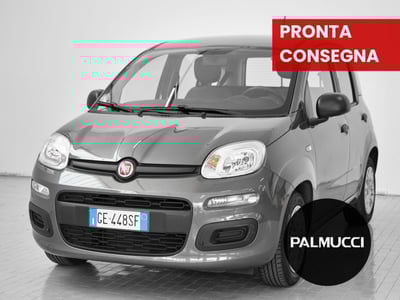 Fiat Panda 1.0 FireFly S&amp;S Hybrid Easy del 2021 usata a Prato