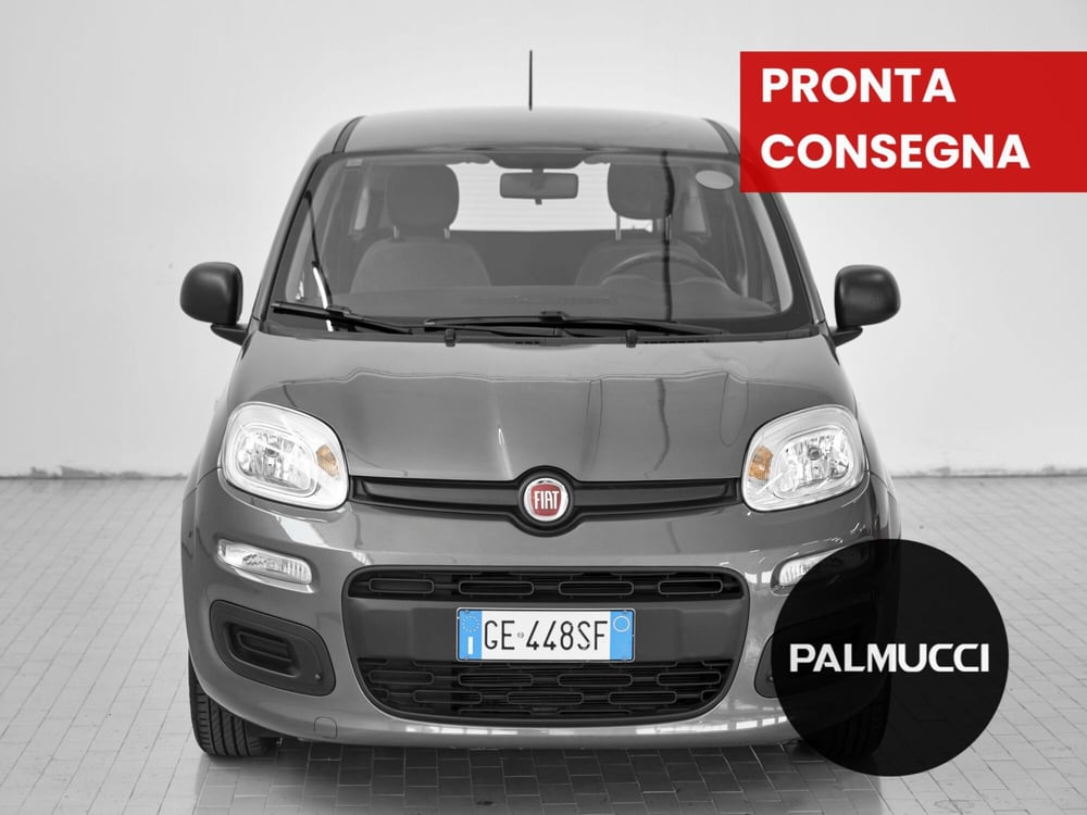Fiat Panda usata a Prato (2)