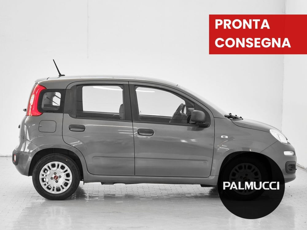 Fiat Panda usata a Prato (3)