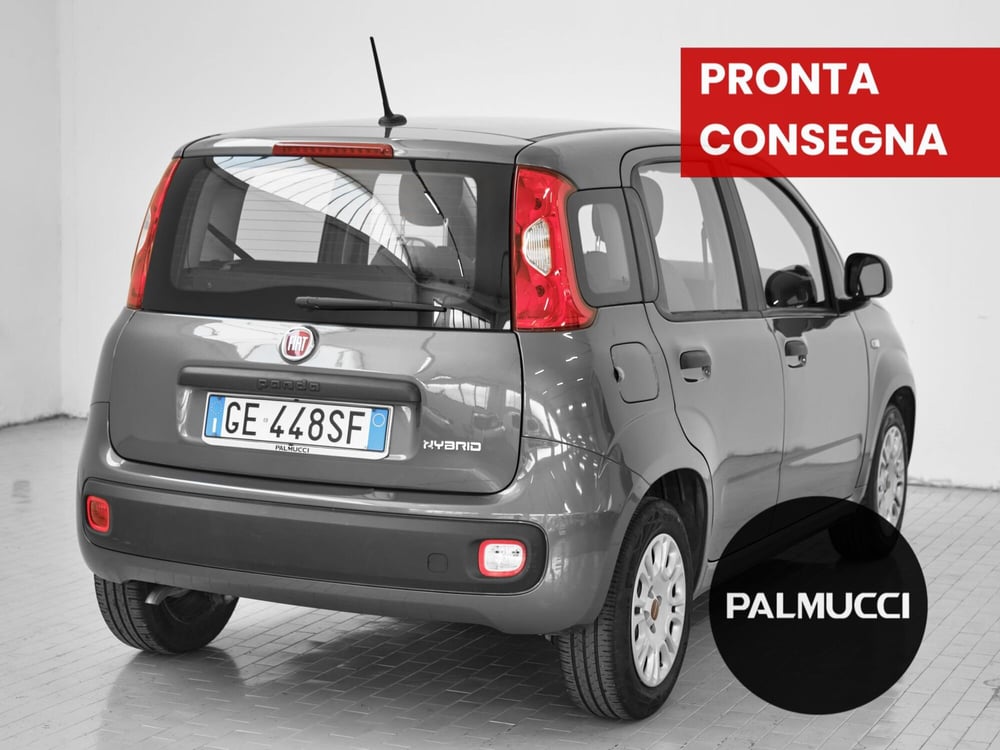 Fiat Panda usata a Prato (4)
