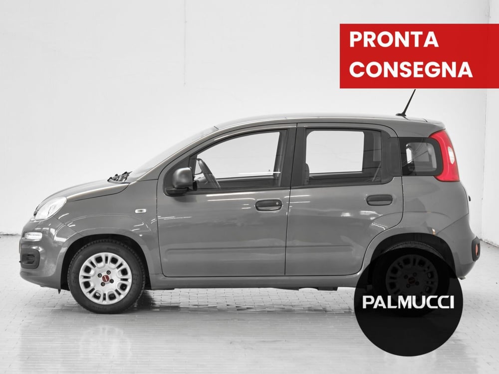 Fiat Panda usata a Prato (5)